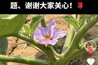 这是外援吧！祝铭震半场三分7中4 贡献16分4板1助&0失误